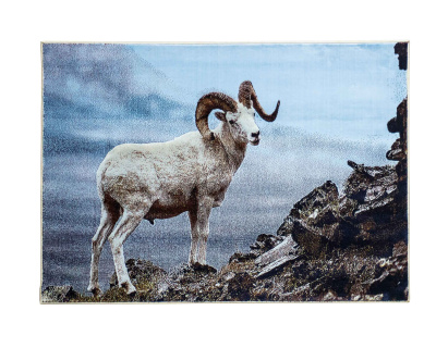 Ковер бежевый Гулистон D140