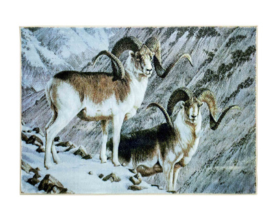 Ковер бежевый Гулистон D138